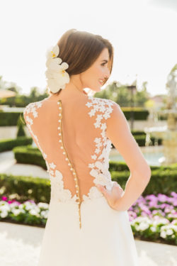 Alan Phillip Photography